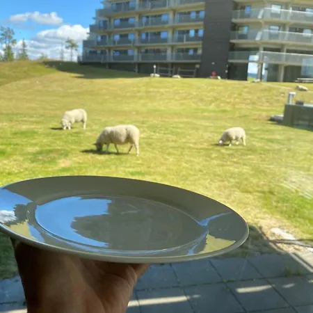 Kvitfjell Mountain *