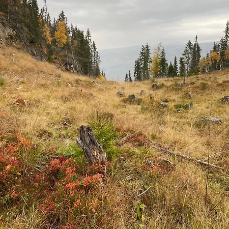 Kvitfjell Mountain Strande