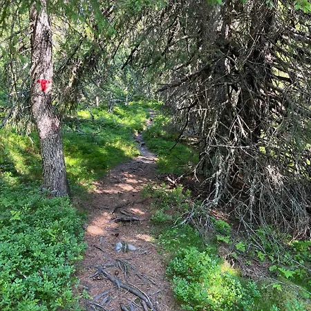 Kvitfjell Mountain *