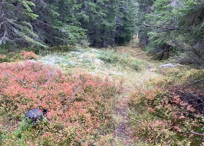 Kvitfjell Mountain Lejlighed Strande