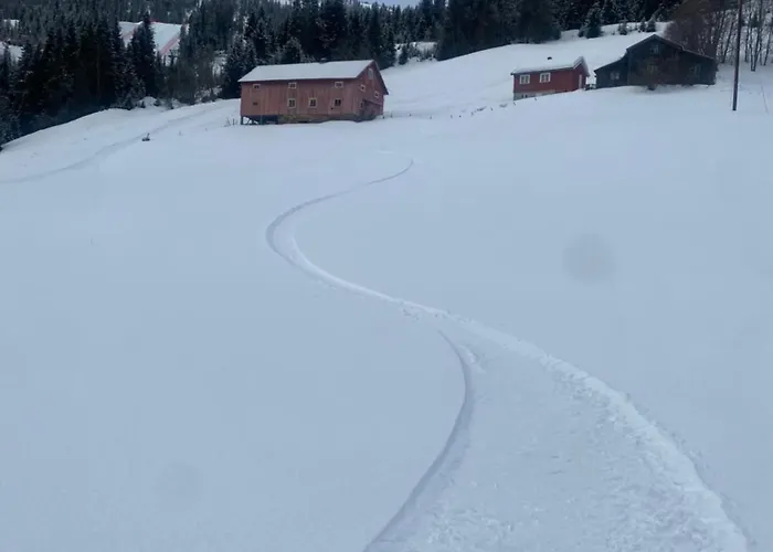 Kvitfjell Mountain Lejlighed *