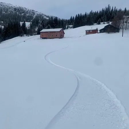 Kvitfjell Mountain Apartment *