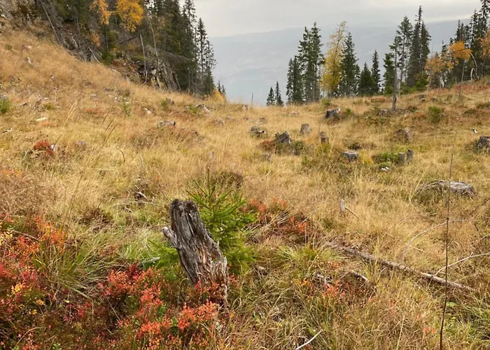 Kvitfjell Mountain Strande